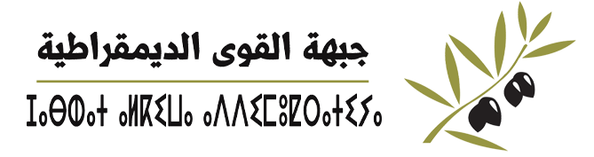 حزب جبهة القوى الديمقراطية
